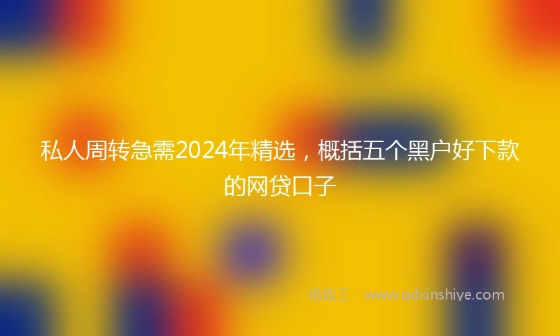私人周转急需2024年精选，概括五个黑户好下款的网贷口子