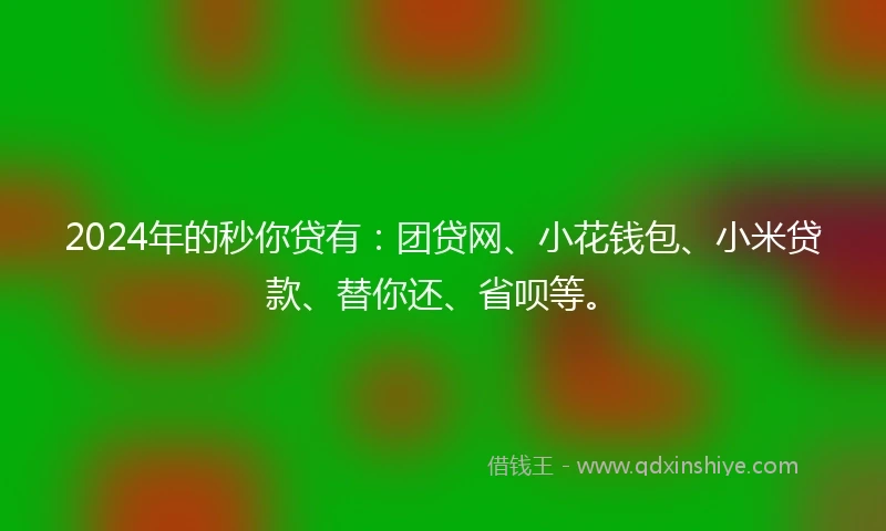 2024年的秒你贷有：团贷网、小花钱包、小米贷款、替你还、省呗等。