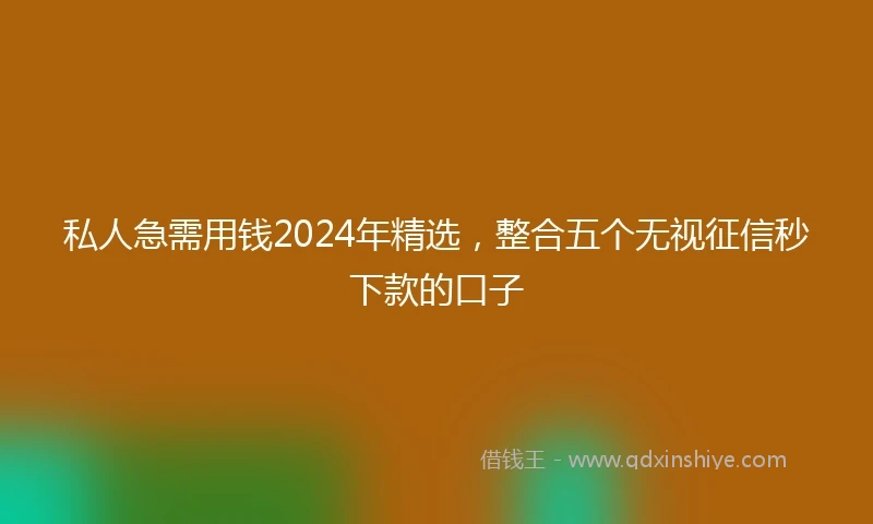 私人急需用钱2024年精选，整合五个无视征信秒下款的口子