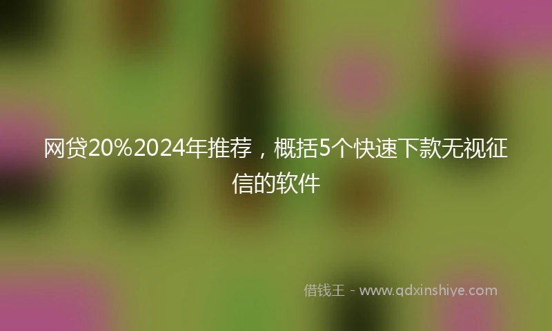 网贷20%2024年推荐，概括5个快速下款无视征信的软件
