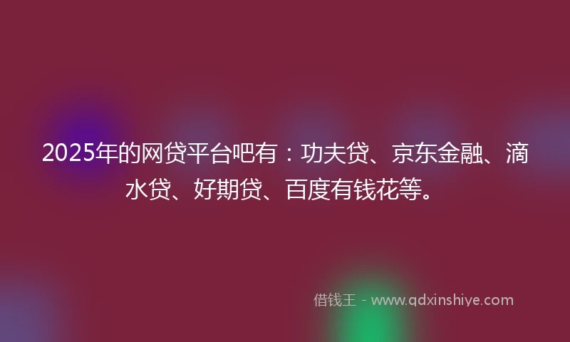 2025年的网贷平台吧有：功夫贷、京东金融、滴水贷、好期贷、百度有钱花等。