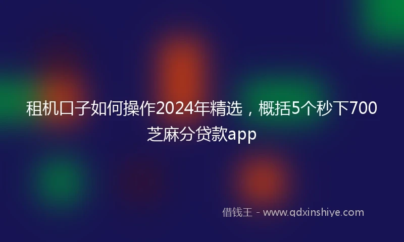 租机口子如何操作2024年精选，概括5个秒下700芝麻分贷款app