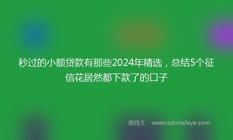 秒过的小额贷款有那些2024年精选,总结5个征信花居然都下款了的口子