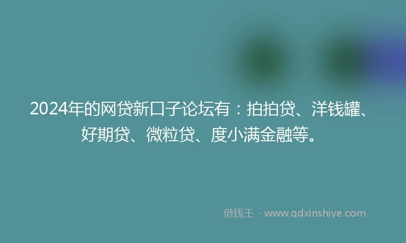 2024年的网贷新口子论坛有：拍拍贷、洋钱罐、好期贷、微粒贷、度小满金融等。