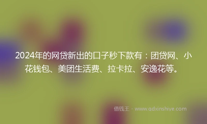2024年的网贷新出的口子秒下款有：团贷网、小花钱包、美团生活费、拉卡拉、安逸花等。