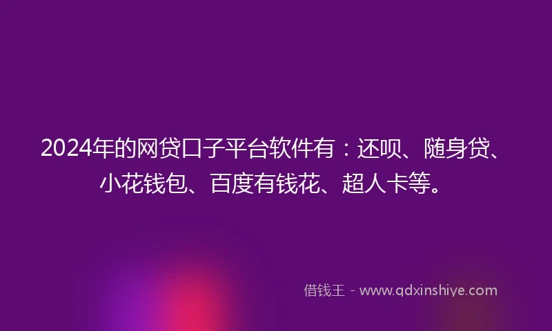 2024年的网贷口子平台软件有：还呗、随身贷、小花钱包、百度有钱花、超人卡等。