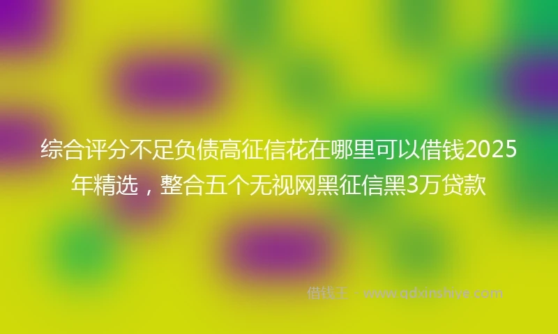 综合评分不足负债高征信花在哪里可以借钱2025年精选，整合五个无视网黑征信黑3万贷款