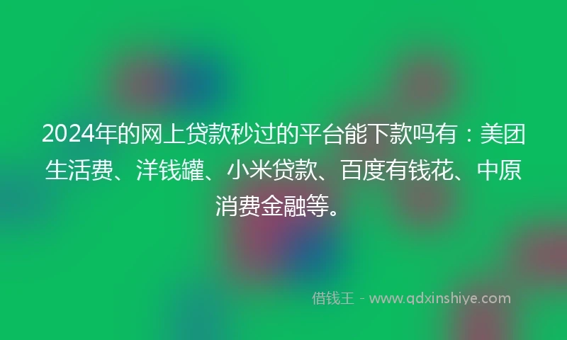 2024年的网上贷款秒过的平台能下款吗有：美团生活费、洋钱罐、小米贷款、百度有钱花、中原消费金融等。