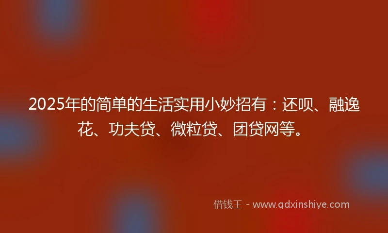 2025年的简单的生活实用小妙招有：还呗、融逸花、功夫贷、微粒贷、团贷网等。
