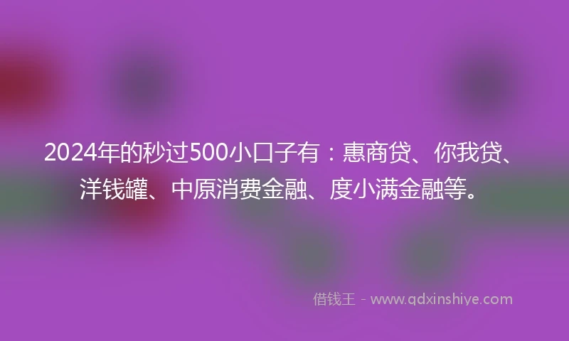 2024年的秒过500小口子有：惠商贷、你我贷、洋钱罐、中原消费金融、度小满金融等。