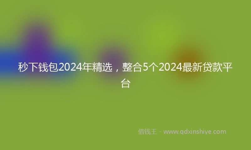 秒下钱包2024年精选，整合5个2024最新贷款平台