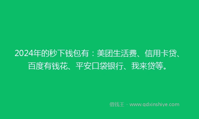 2024年的秒下钱包有：美团生活费、信用卡贷、百度有钱花、平安口袋银行、我来贷等。
