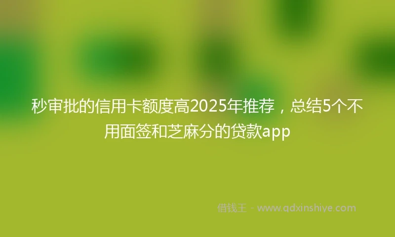 秒审批的信用卡额度高2025年推荐，总结5个不用面签和芝麻分的贷款app