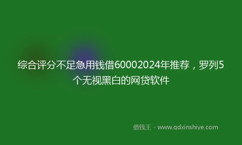 综合评分不足急用钱借60002024年推荐，罗列5个无视黑白的网贷软件