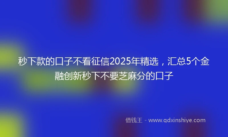 秒下款的口子不看征信2025年精选，汇总5个金融创新秒下不要芝麻分的口子