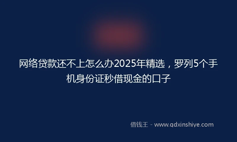 网络贷款还不上怎么办2025年精选，罗列5个手机身份证秒借现金的口子