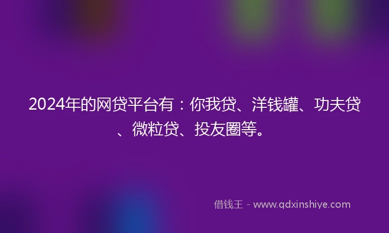2024年的网贷平台有：你我贷、洋钱罐、功夫贷、微粒贷、投友圈等。