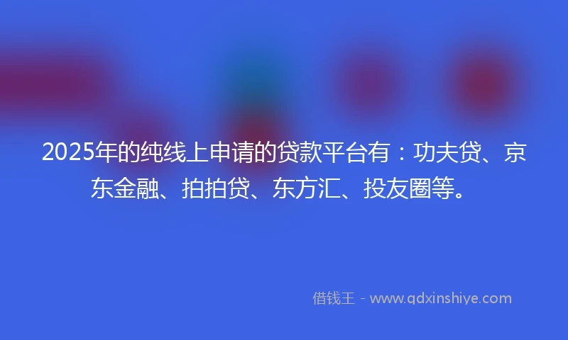 2025年的纯线上申请的贷款平台有：功夫贷、京东金融、拍拍贷、东方汇、投友圈等。