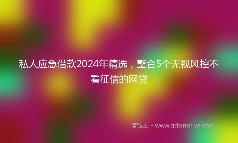 私人应急借款2024年精选，整合5个无视风控不看征信的网贷
