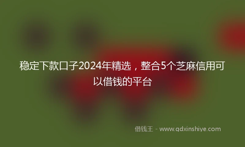 稳定下款口子2024年精选，整合5个芝麻信用可以借钱的平台
