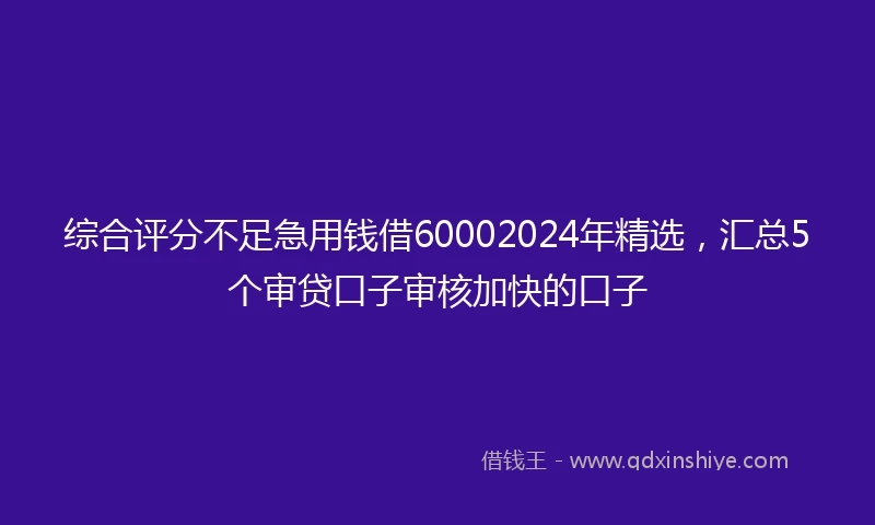 综合评分不足急用钱借60002024年精选，汇总5个审贷口子审核加快的口子