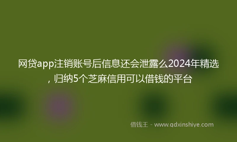 网贷app注销账号后信息还会泄露么2024年精选，归纳5个芝麻信用可以借钱的平台
