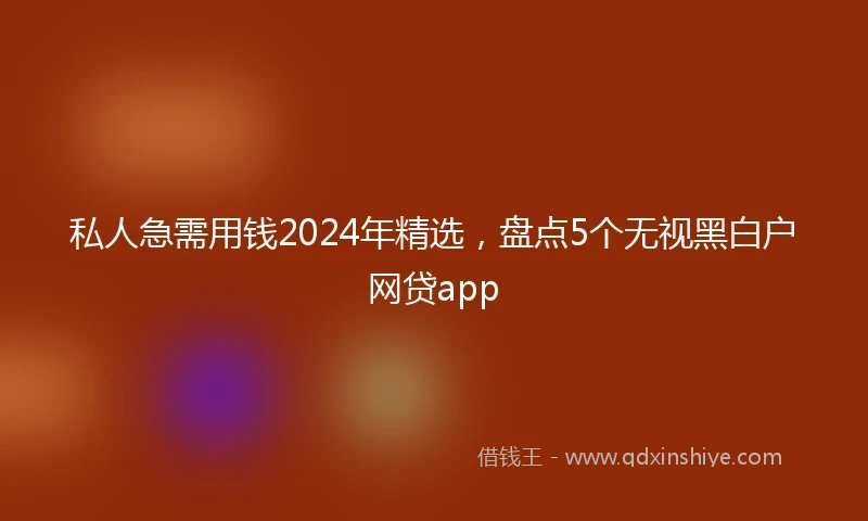 私人急需用钱2024年精选，盘点5个无视黑白户网贷app