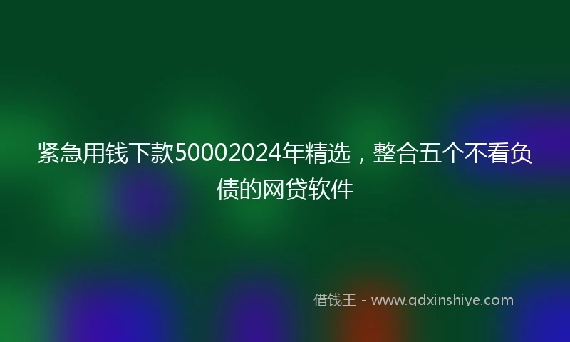紧急用钱下款50002024年精选，整合五个不看负债的网贷软件