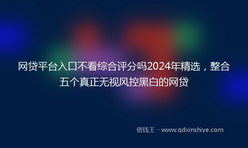 网贷平台入口不看综合评分吗2024年精选，整合五个真正无视风控黑白的网贷