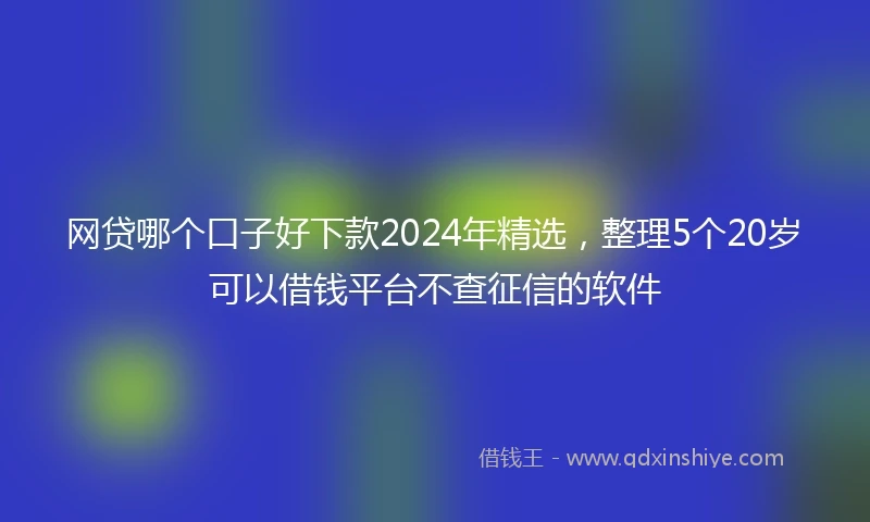 网贷哪个口子好下款2024年精选，整理5个20岁可以借钱平台不查征信的软件