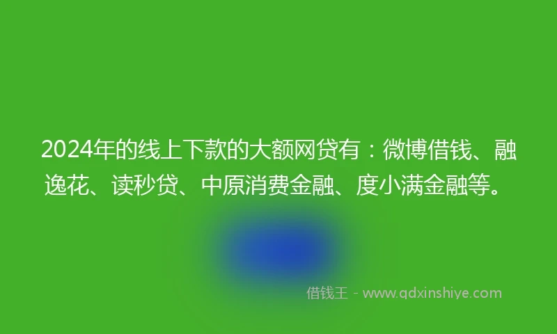 2024年的线上下款的大额网贷有：微博借钱、融逸花、读秒贷、中原消费金融、度小满金融等。