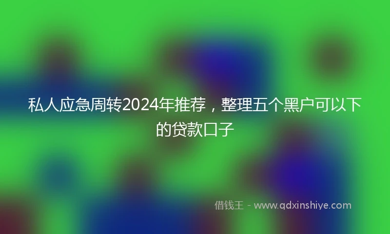私人应急周转2024年推荐，整理五个黑户可以下的贷款口子