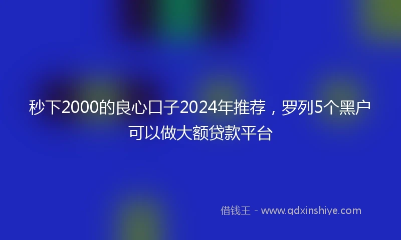 秒下2000的良心口子2024年推荐，罗列5个黑户可以做大额贷款平台