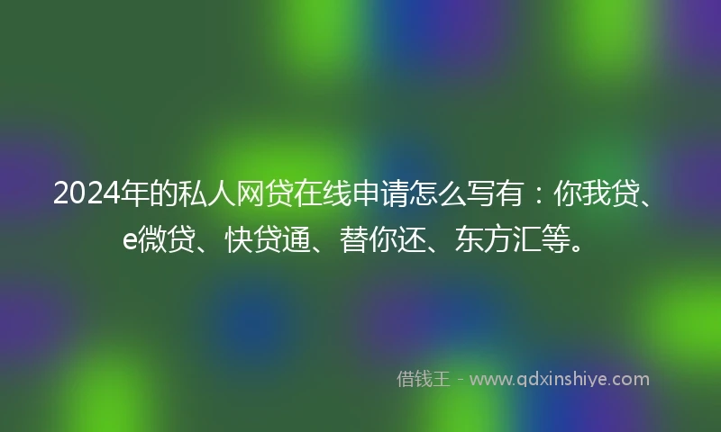 2024年的私人网贷在线申请怎么写有：你我贷、e微贷、快贷通、替你还、东方汇等。