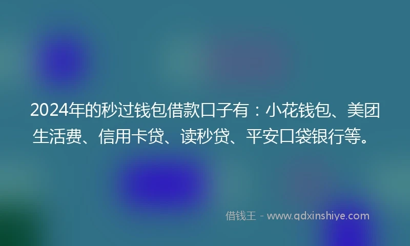 2024年的秒过钱包借款口子有:小花钱包、美团生活费、信用卡贷、读秒贷、平安口袋银行等。