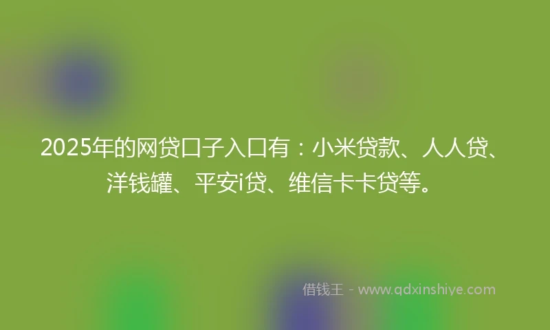 2025年的网贷口子入口有：小米贷款、人人贷、洋钱罐、平安i贷、维信卡卡贷等。