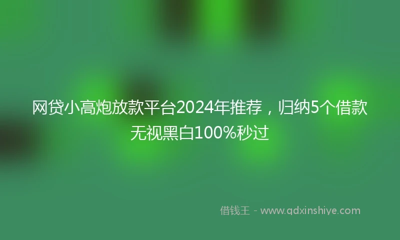 网贷小高炮放款平台2024年推荐，归纳5个借款无视黑白100%秒过