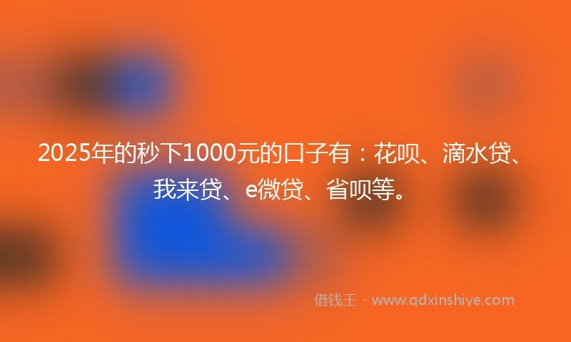 2025年的秒下1000元的口子有：花呗、滴水贷、我来贷、e微贷、省呗等。