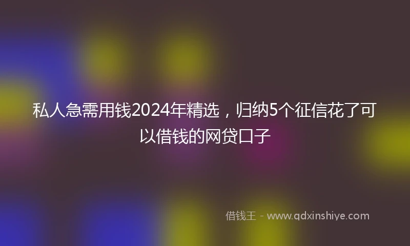私人急需用钱2024年精选，归纳5个征信花了可以借钱的网贷口子
