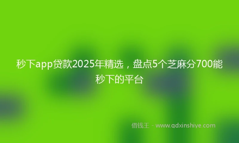 秒下app贷款2025年精选，盘点5个芝麻分700能秒下的平台