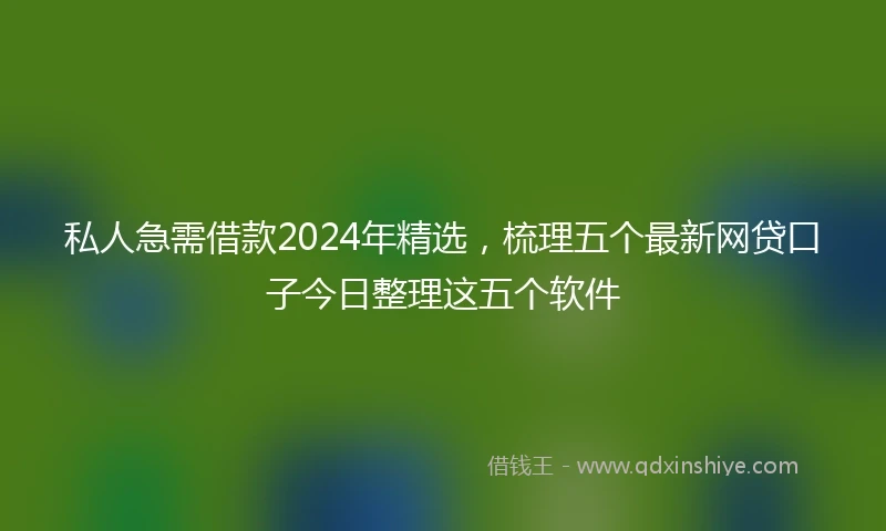 私人急需借款2024年精选，梳理五个最新网贷口子今日整理这五个软件