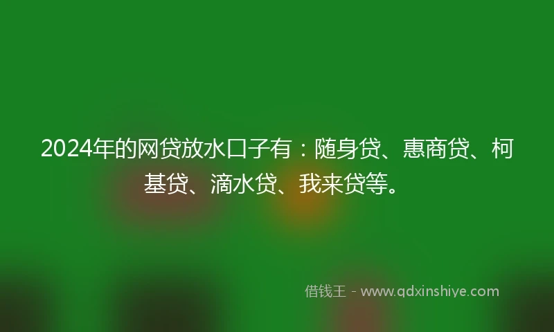 2024年的网贷放水口子有：随身贷、惠商贷、柯基贷、滴水贷、我来贷等。