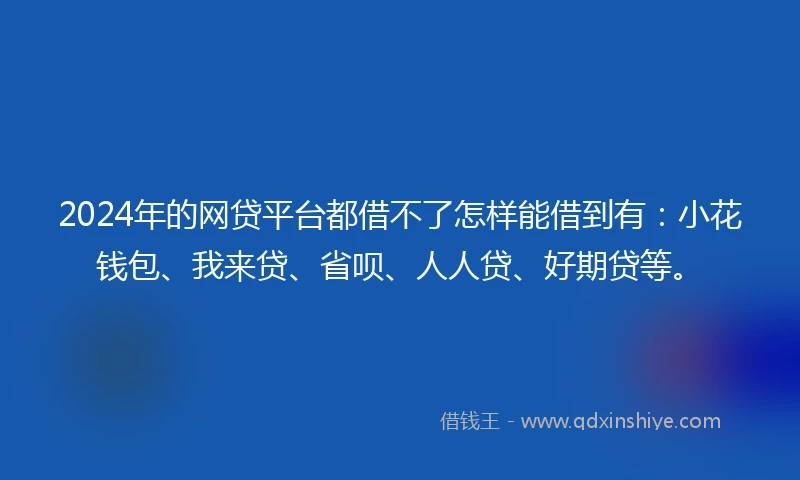 2024年的网贷平台都借不了怎样能借到有：小花钱包、我来贷、省呗、人人贷、好期贷等。