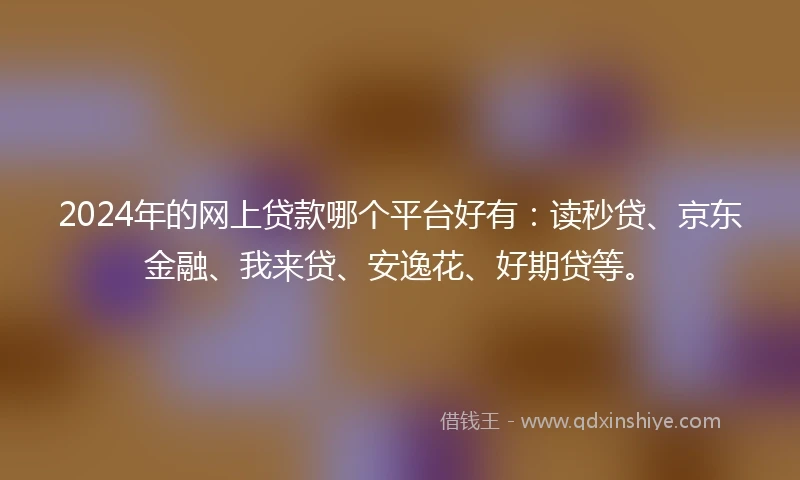 2024年的网上贷款哪个平台好有：读秒贷、京东金融、我来贷、安逸花、好期贷等。