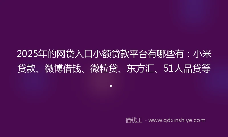 2025年的网贷入口小额贷款平台有哪些有：小米贷款、微博借钱、微粒贷、东方汇、51人品贷等。