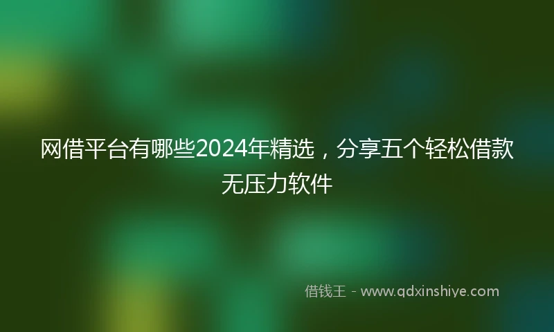 网借平台有哪些2024年精选，分享五个轻松借款无压力软件