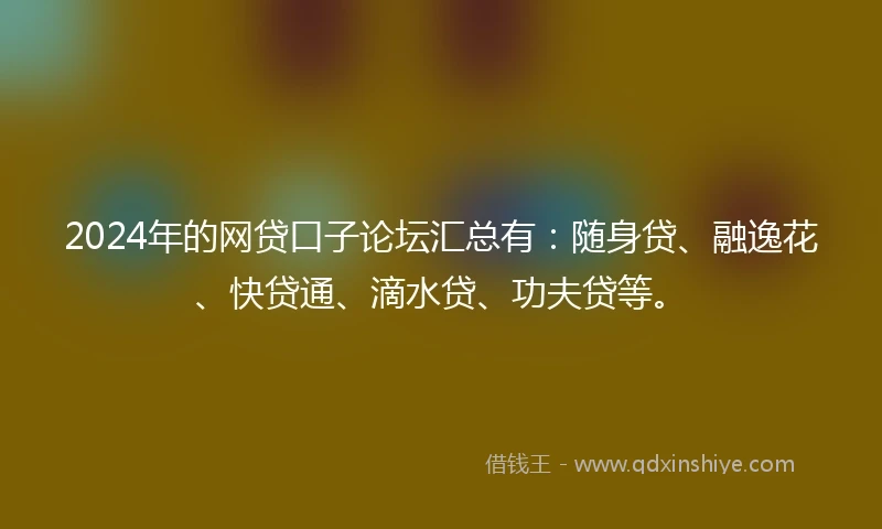 2024年的网贷口子论坛汇总有：随身贷、融逸花、快贷通、滴水贷、功夫贷等。