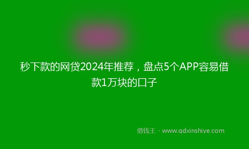 秒下款的网贷2024年推荐，盘点5个APP容易借款1万块的口子