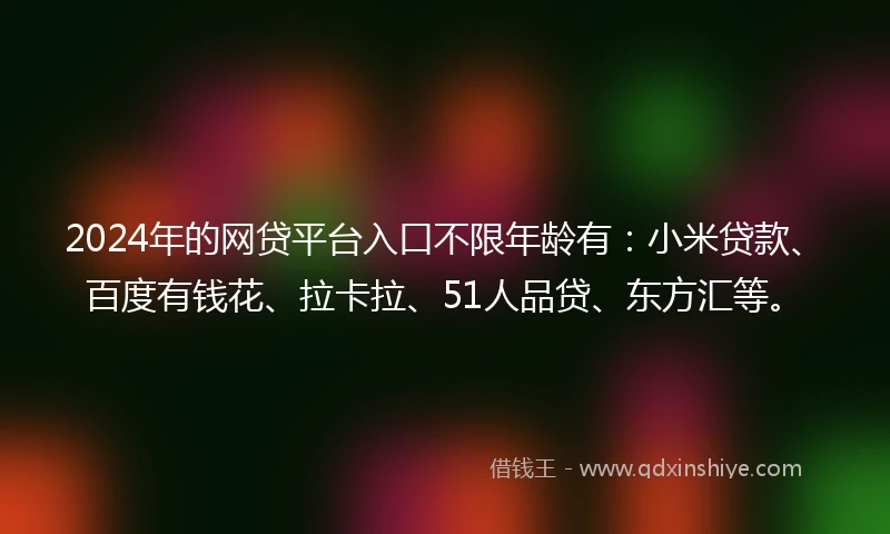 2024年的网贷平台入口不限年龄有：小米贷款、百度有钱花、拉卡拉、51人品贷、东方汇等。