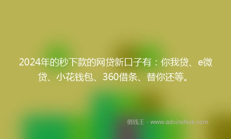 2024年的秒下款的网贷新口子有：你我贷、e微贷、小花钱包、360借条、替你还等。